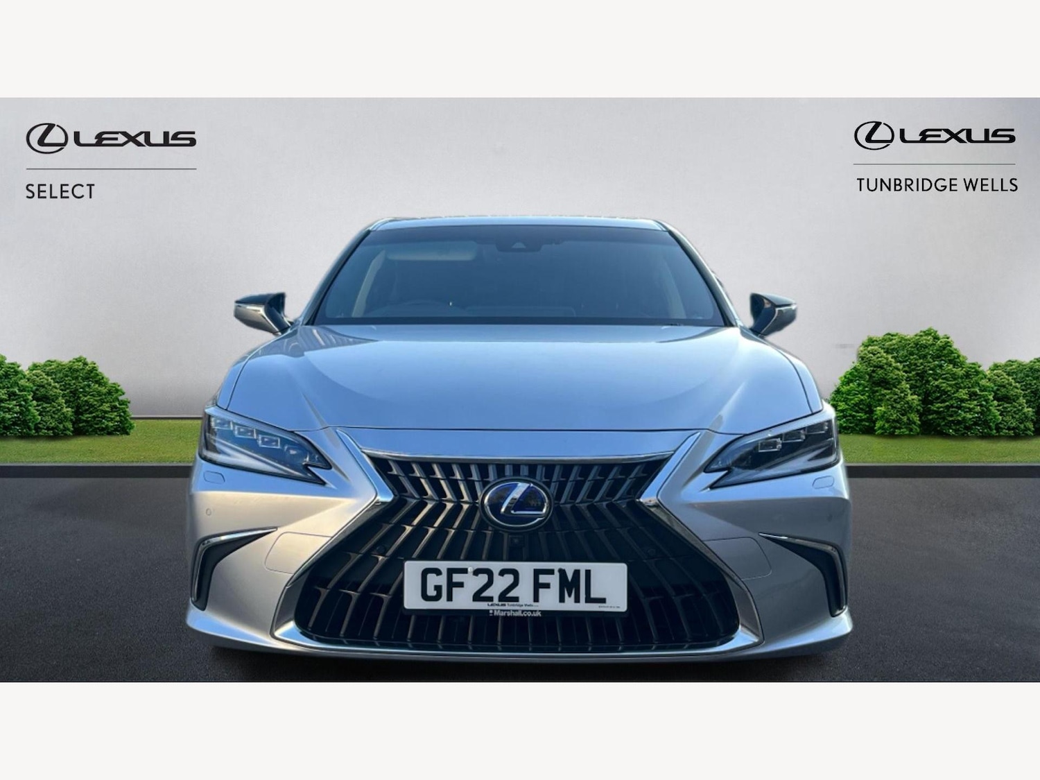 Used Lexus ES 2022 for sale - 77175107: Photo 6