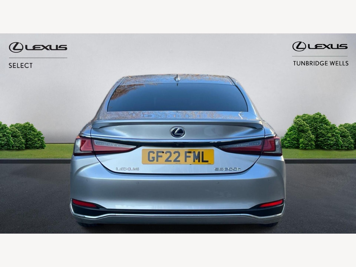 Used Lexus ES 2022 for sale - 77175107: Photo 7