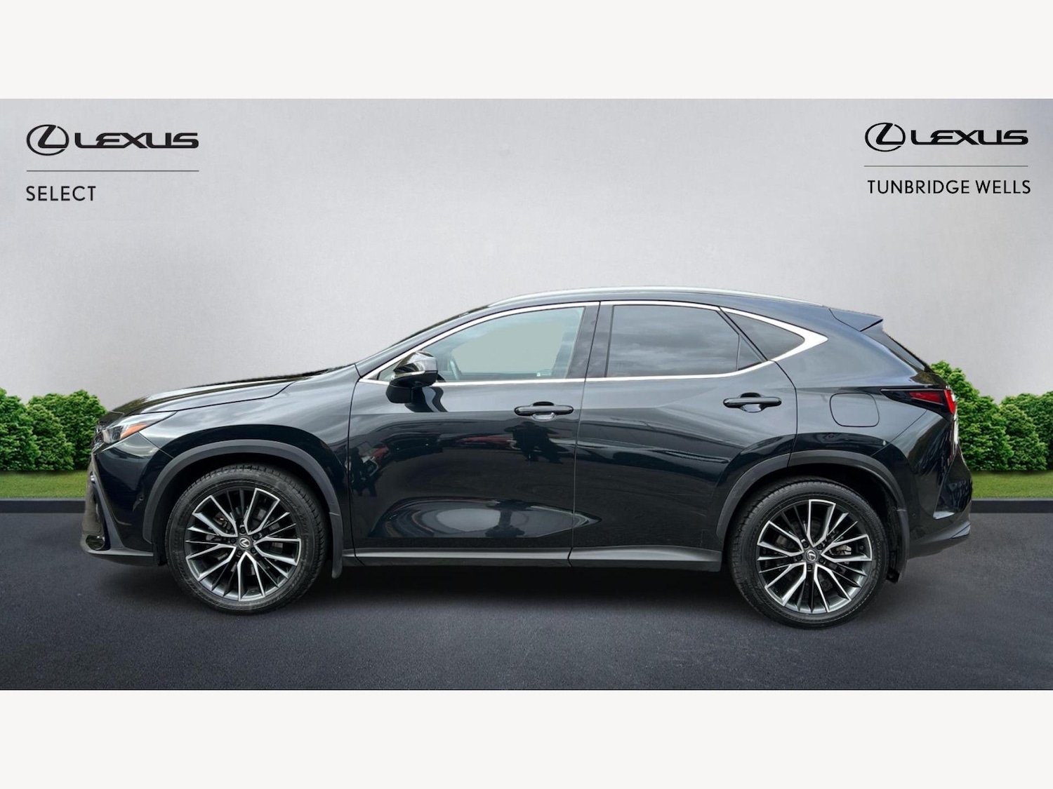 Used Lexus NX 2023 for sale - 76646222: Photo 3