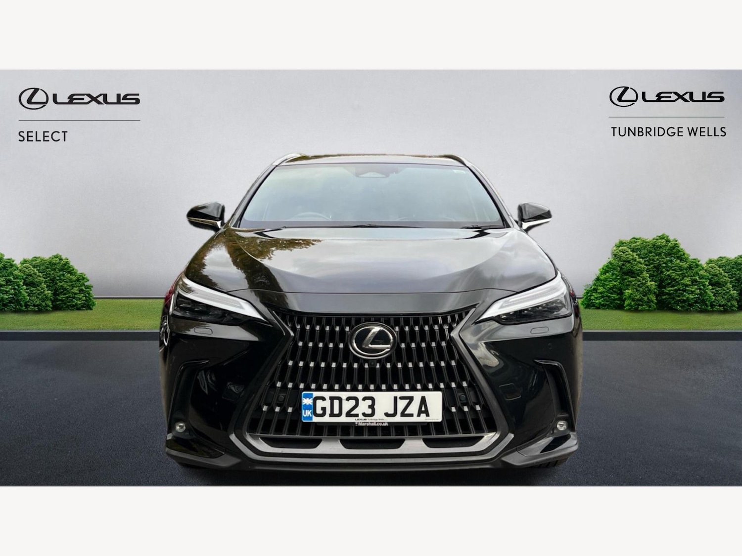 Used Lexus NX 2023 for sale - 76646222: Photo 6