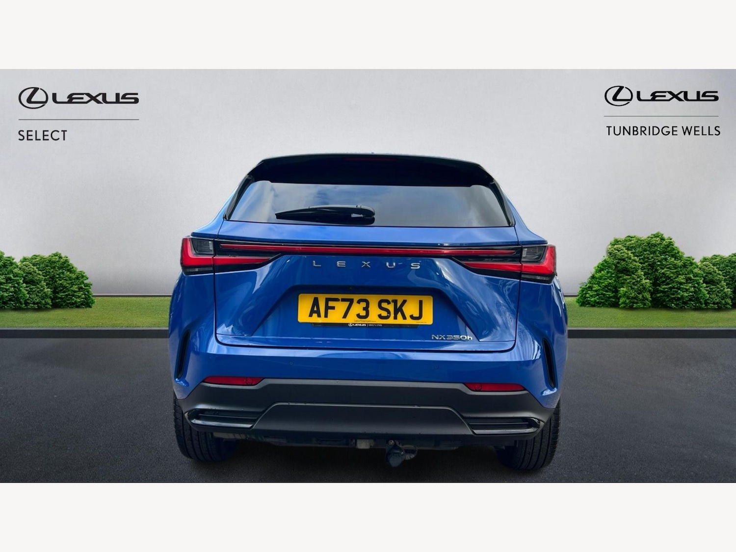 Used Lexus NX 2024 for sale - 76942725: Photo 7