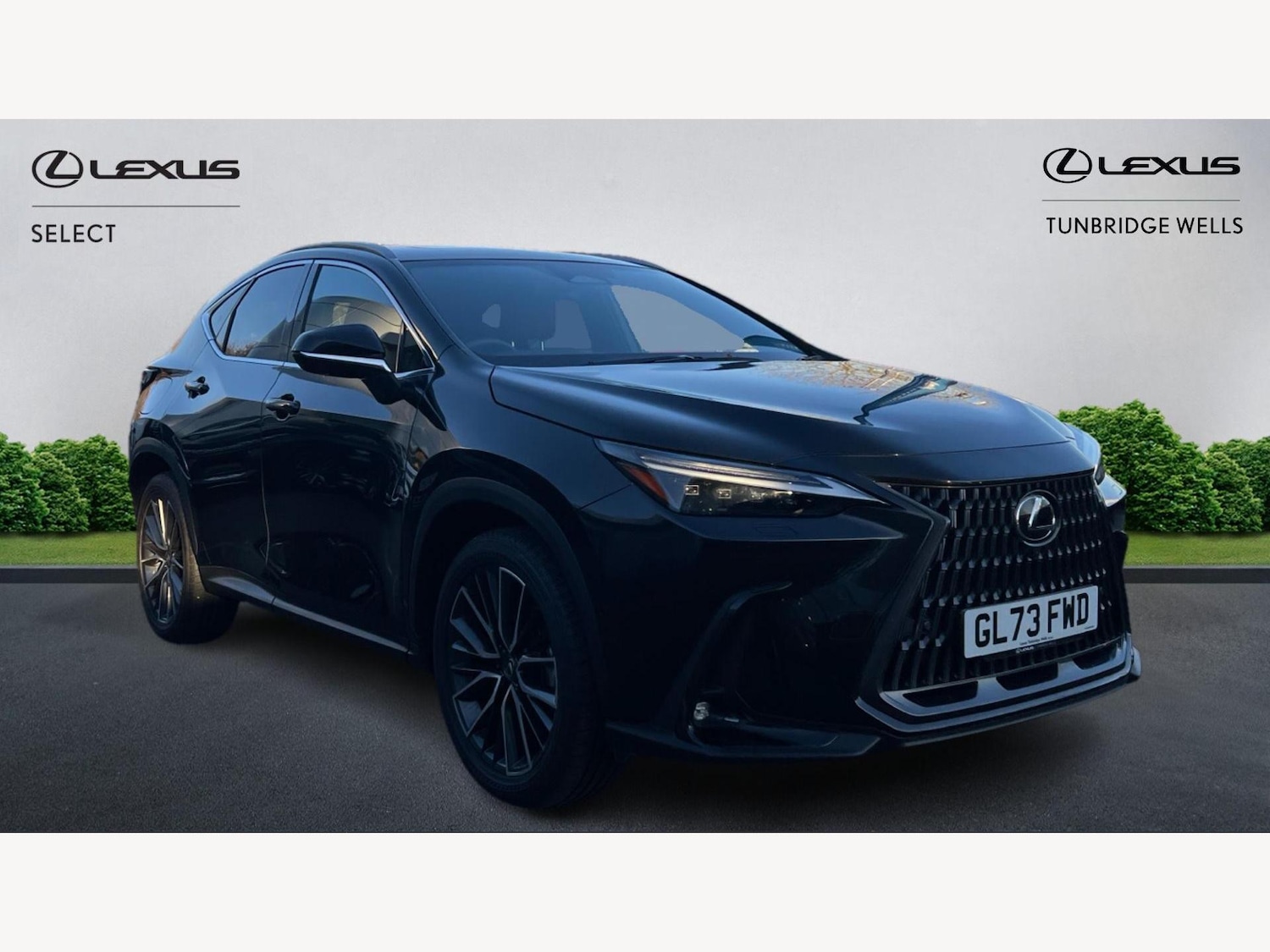 Used Lexus NX 2023 for sale - 76942724: Photo 1