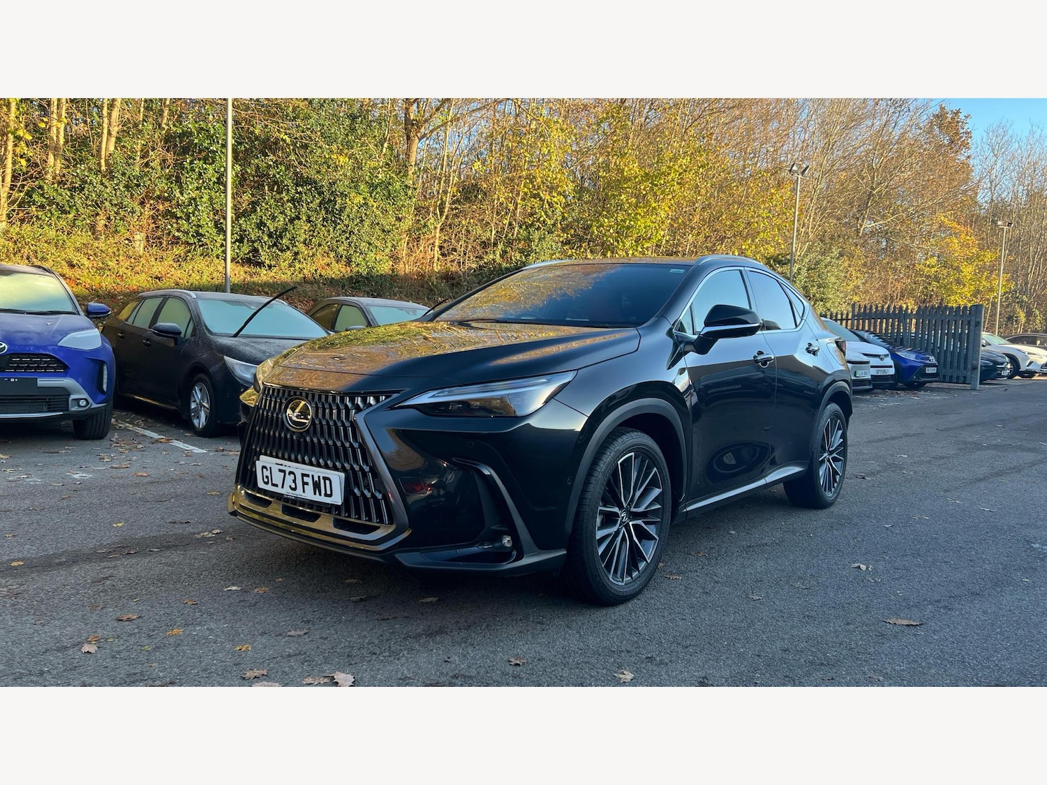 Used Lexus NX 2023 for sale - 76942724: Photo 19