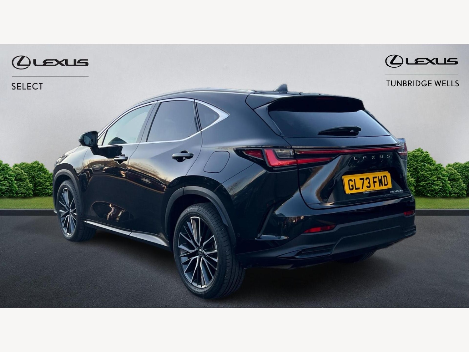 Used Lexus NX 2023 for sale - 76942724: Photo 2