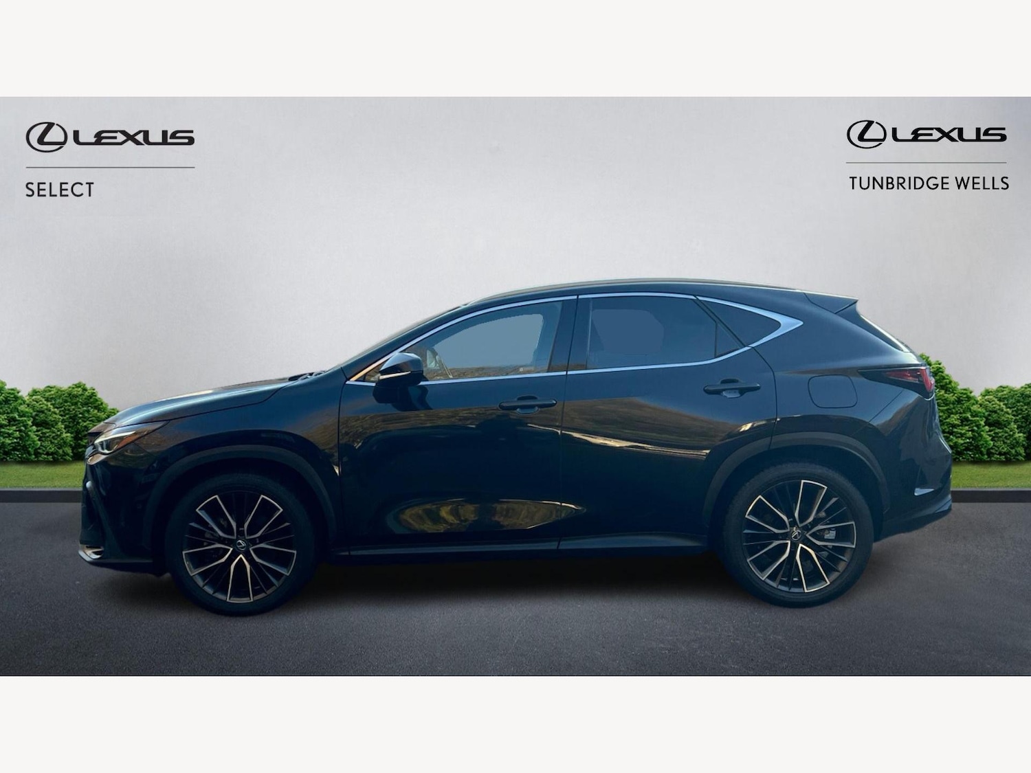 Used Lexus NX 2023 for sale - 76942724: Photo 3