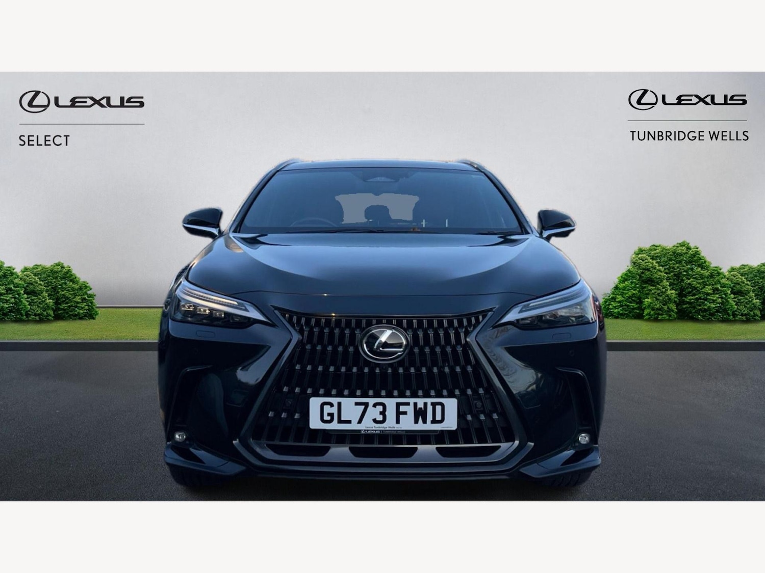 Used Lexus NX 2023 for sale - 76942724: Photo 6