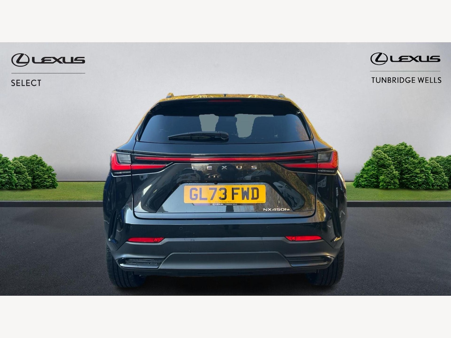 Used Lexus NX 2023 for sale - 76942724: Photo 7