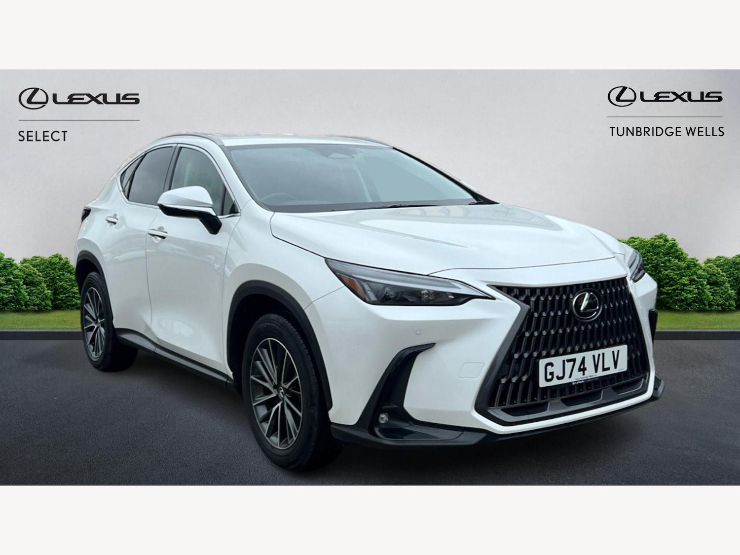 Used Lexus NX 2024 for sale - 76644722: Photo 1