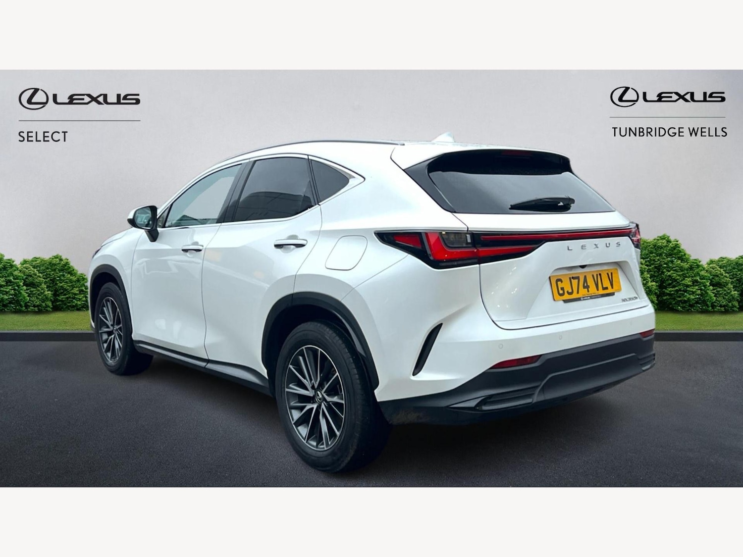 Used Lexus NX 2024 for sale - 76644722: Photo 2