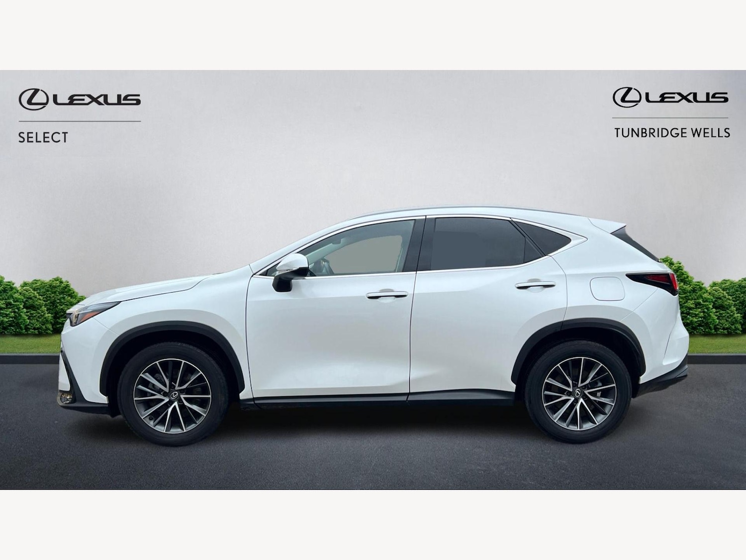 Used Lexus NX 2024 for sale - 76644722: Photo 3