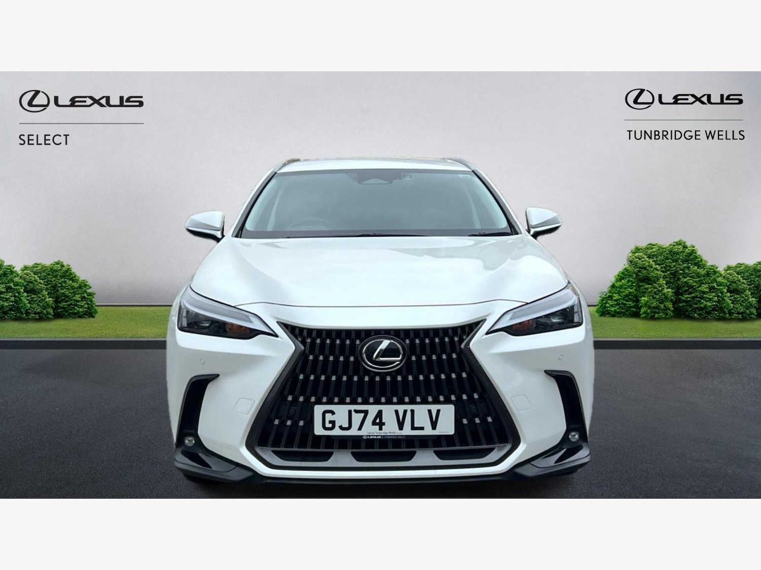 Used Lexus NX 2024 for sale - 76644722: Photo 6