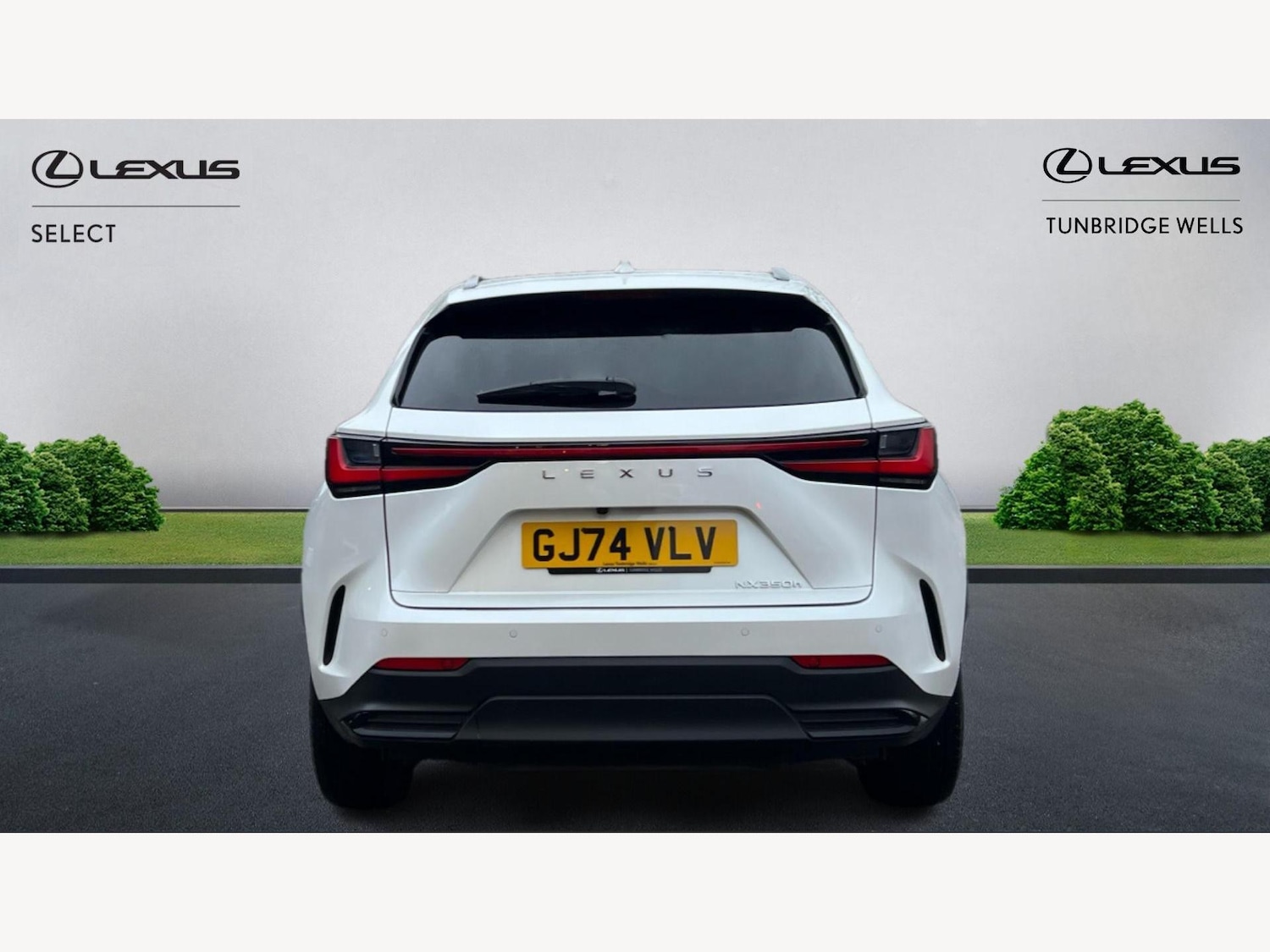 Used Lexus NX 2024 for sale - 76644722: Photo 7