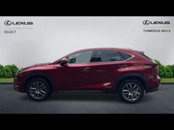 Used Lexus NX 2019 for sale - 74895657: Photo