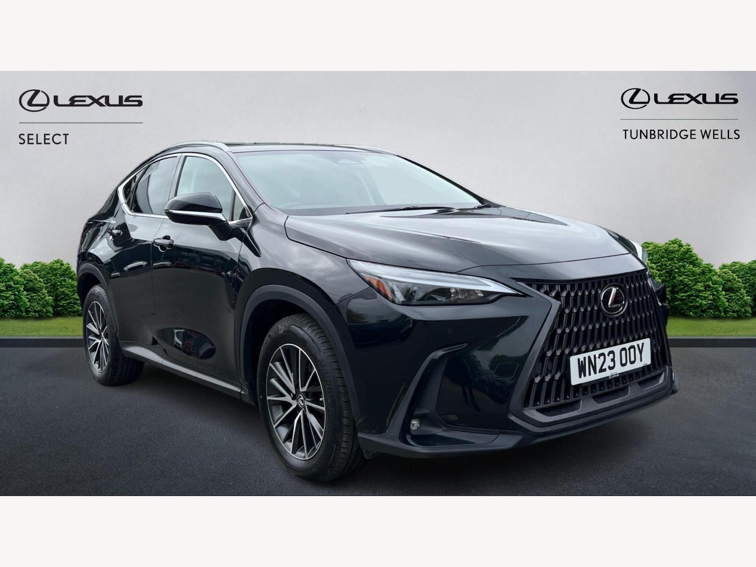 Used Lexus NX 2023 for sale - 76314752: Photo 1