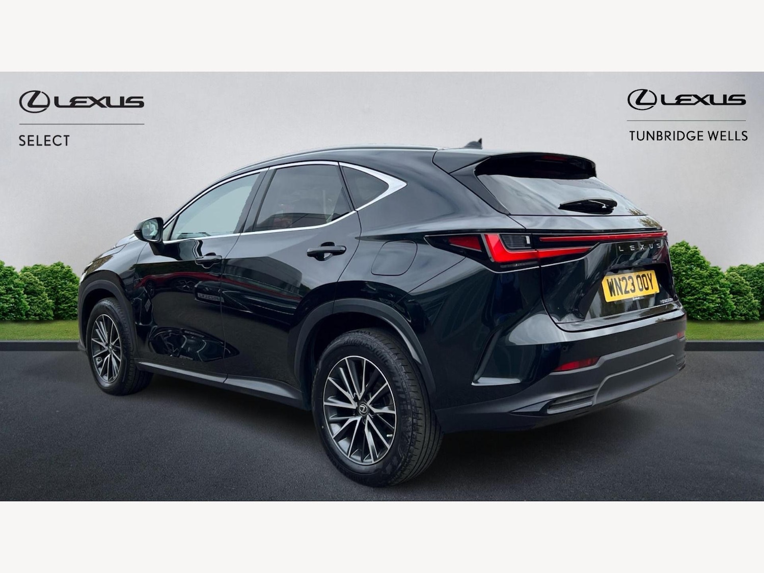 Used Lexus NX 2023 for sale - 76314752: Photo 2