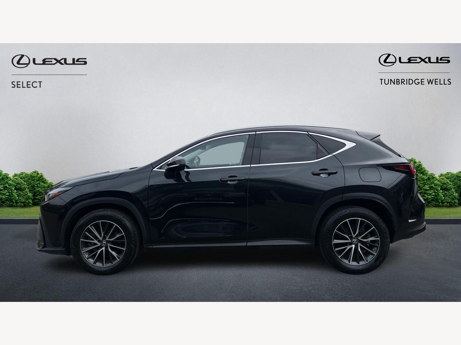 Used Lexus NX 2023 for sale - 76314752: Photo 3