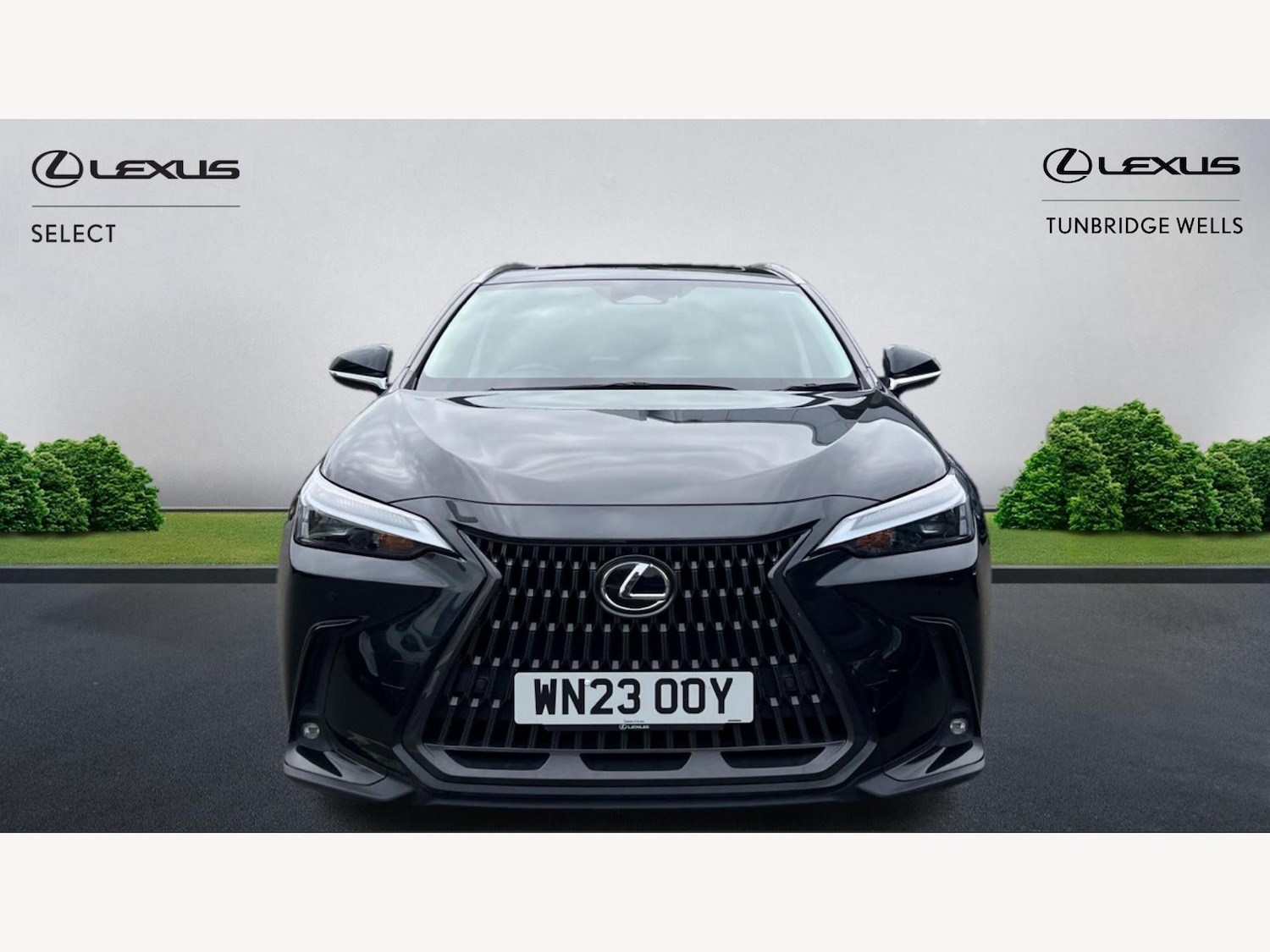 Used Lexus NX 2023 for sale - 76314752: Photo 6