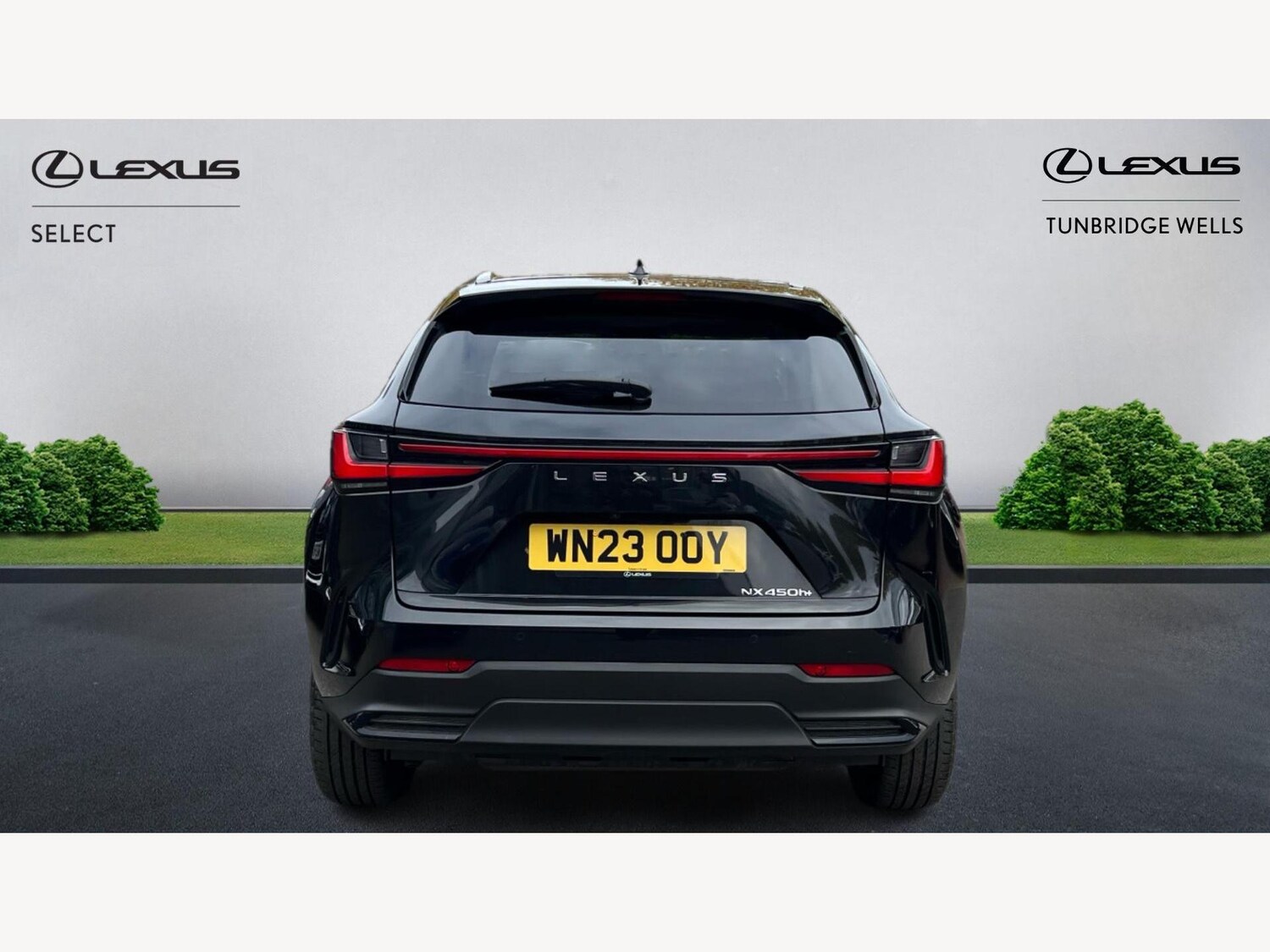 Used Lexus NX 2023 for sale - 76314752: Photo 7