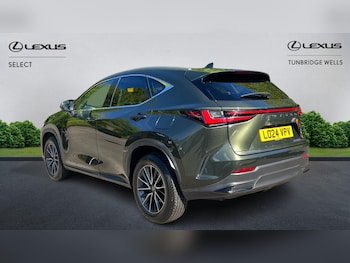 Used Lexus NX 2024 for sale - 78384484: Photo