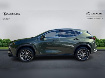 Used Lexus NX 2024 for sale - 78384484: Photo