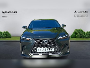 Used Lexus NX 2024 for sale - 78384484: Photo