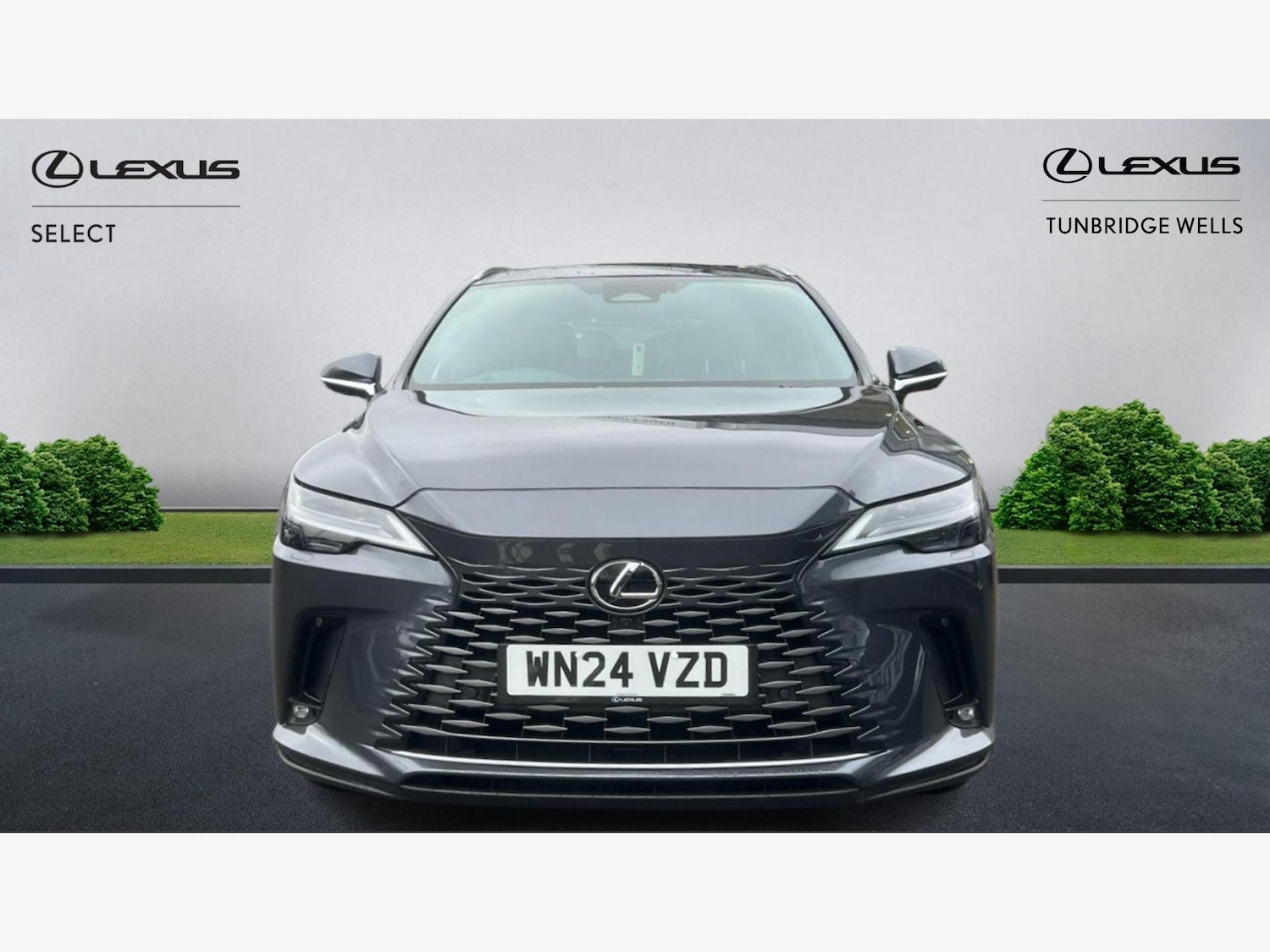 Used Lexus RX 2024 for sale - 77351356: Photo 6