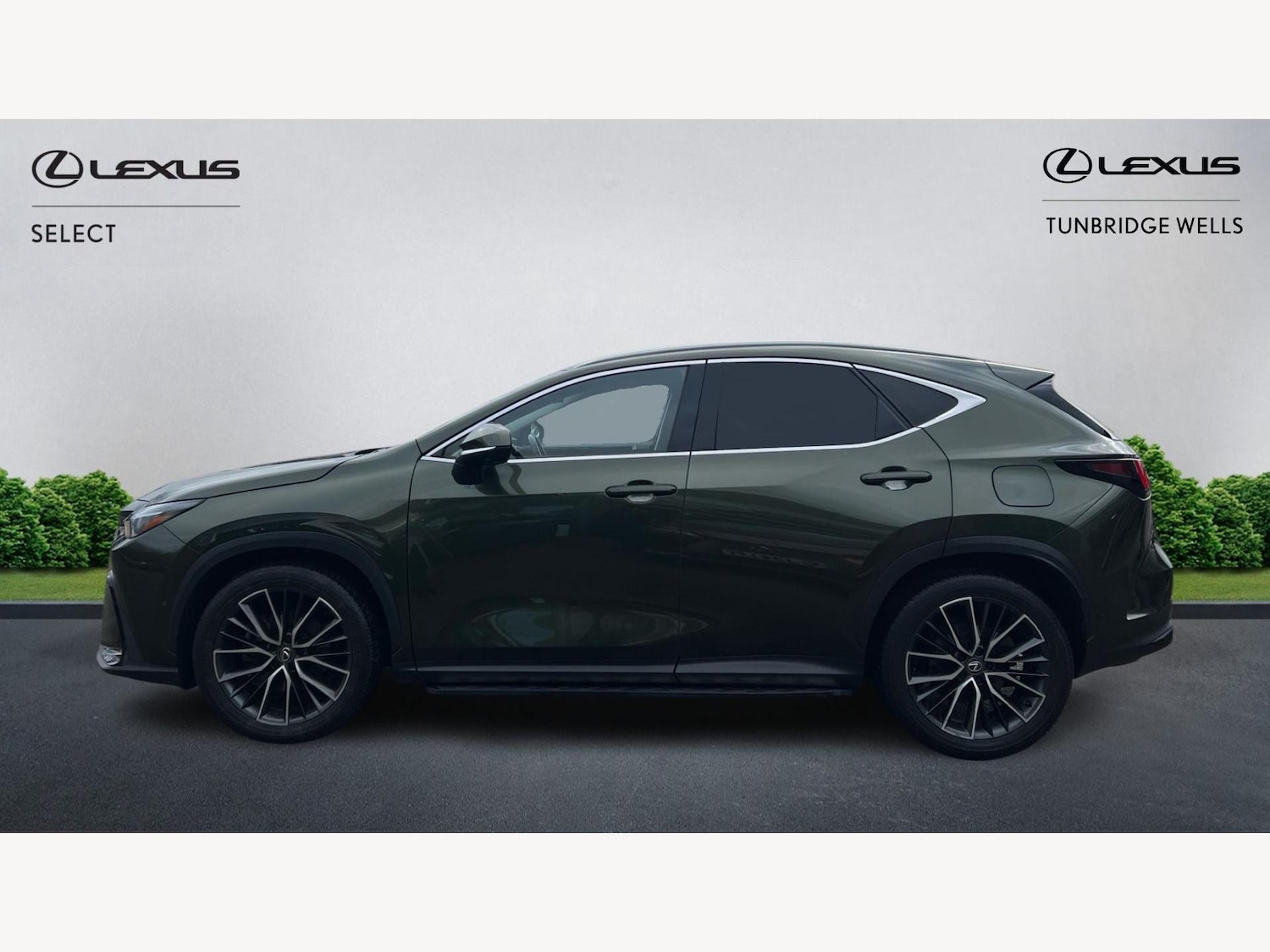Used Lexus NX 2023 for sale - 77351936: Photo 3