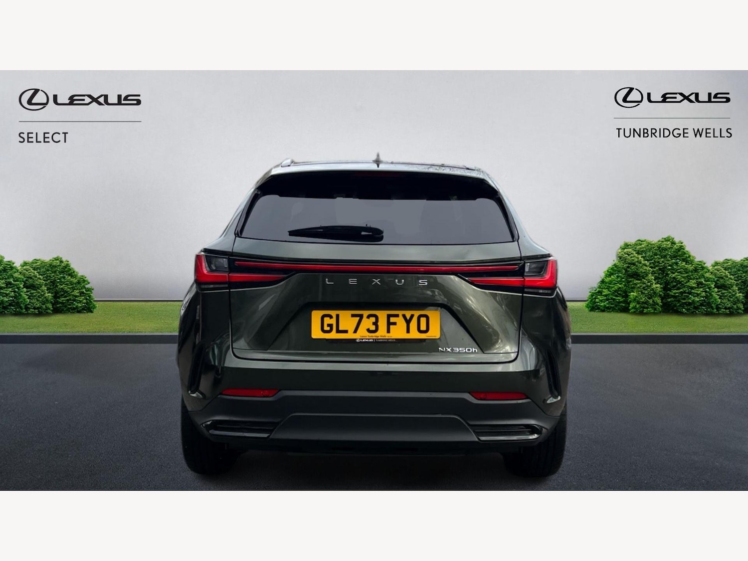 Used Lexus NX 2023 for sale - 77351936: Photo 7