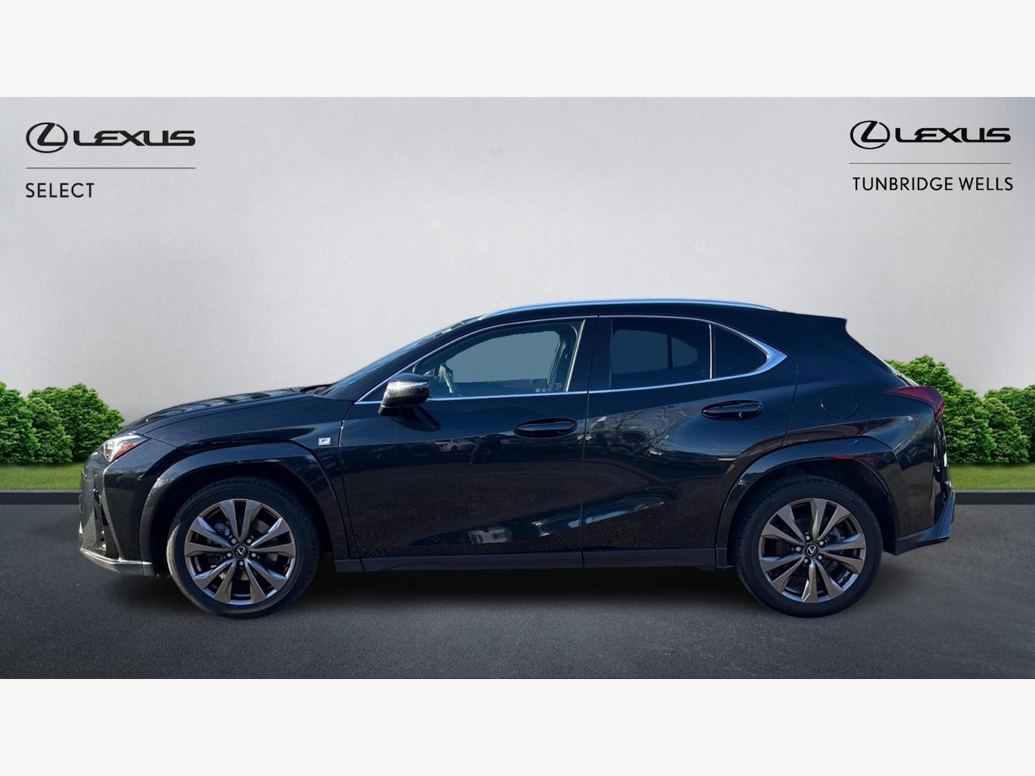 Used Lexus UX 2024 for sale - 77351417: Photo 3