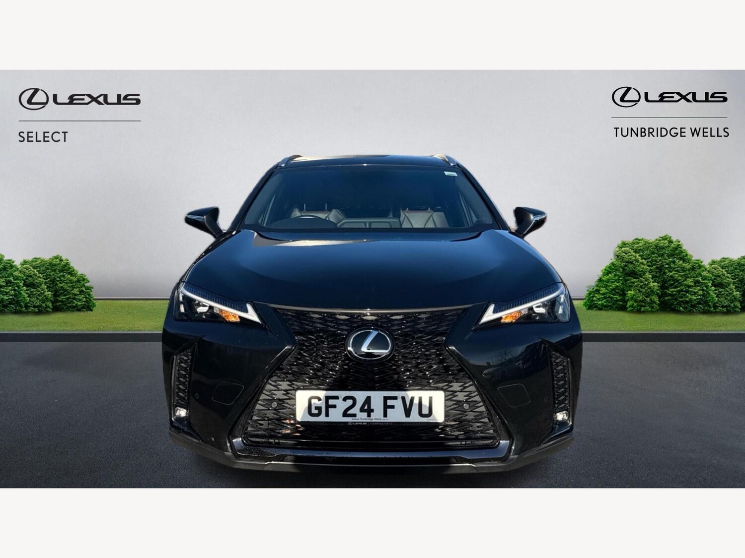 Used Lexus UX 2024 for sale - 77351417: Photo 6