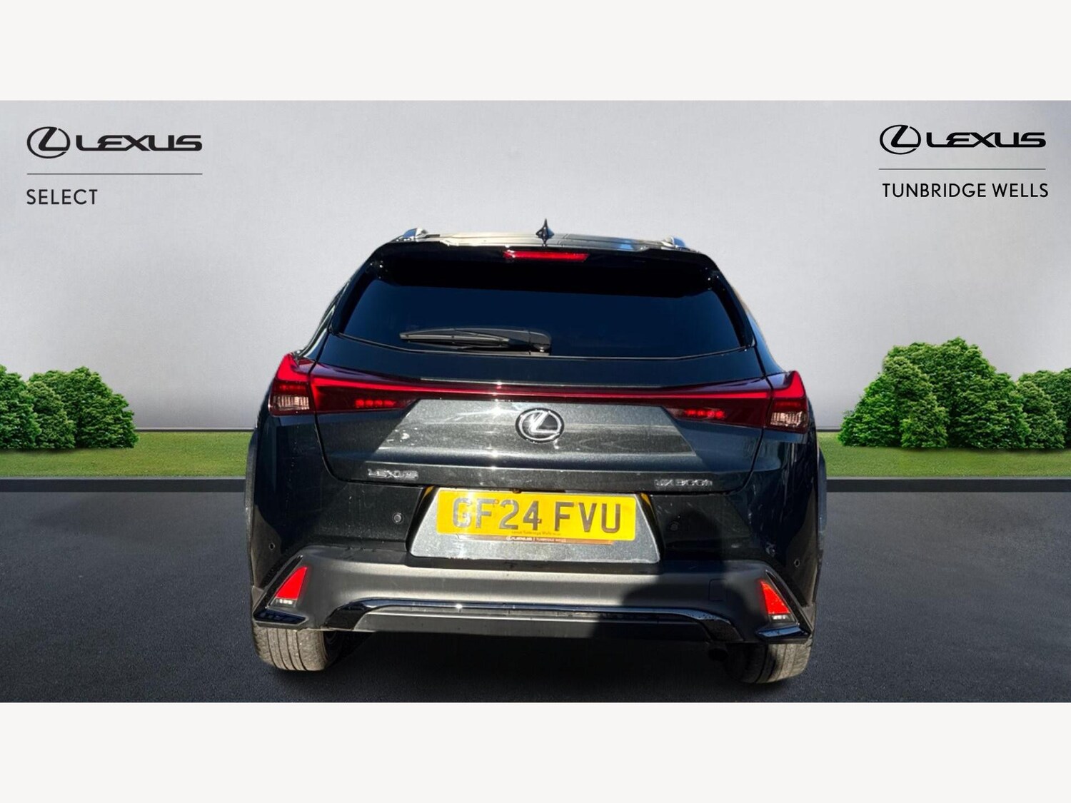 Used Lexus UX 2024 for sale - 77351417: Photo 7