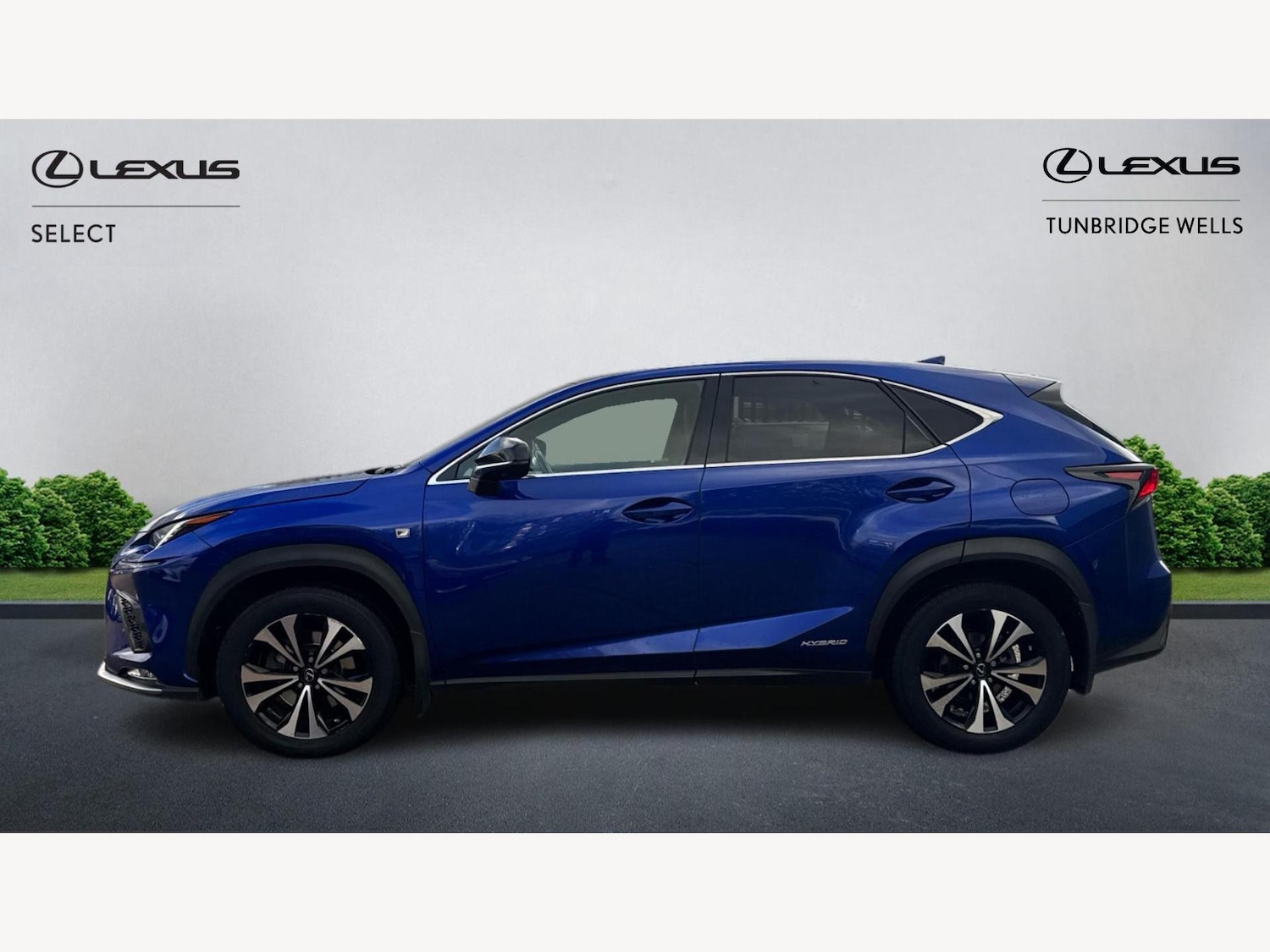 Used Lexus NX 2018 for sale - 77143785: Photo 3