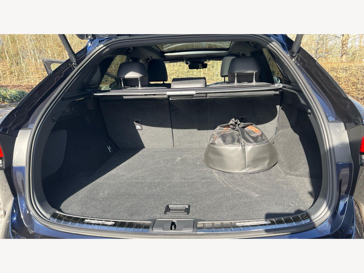 Used Lexus RX 2025 for sale - 77925925: Photo 17