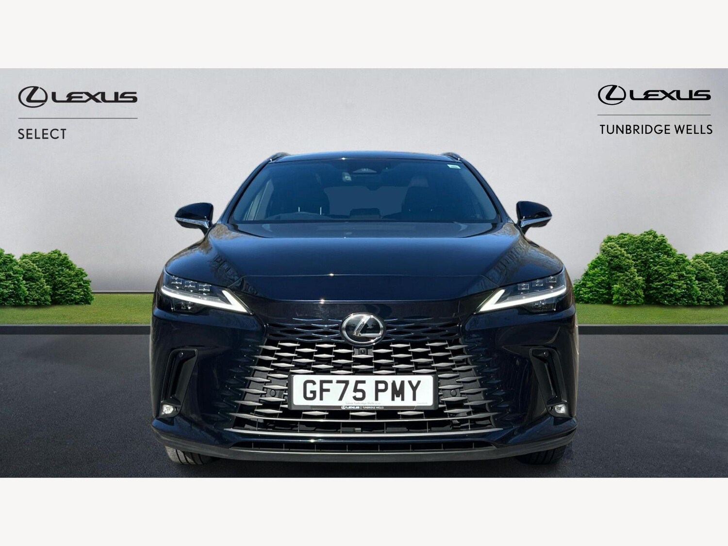 Used Lexus RX 2025 for sale - 77925925: Photo 6