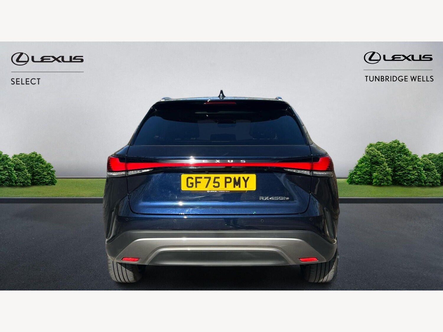 Used Lexus RX 2025 for sale - 77925925: Photo 7