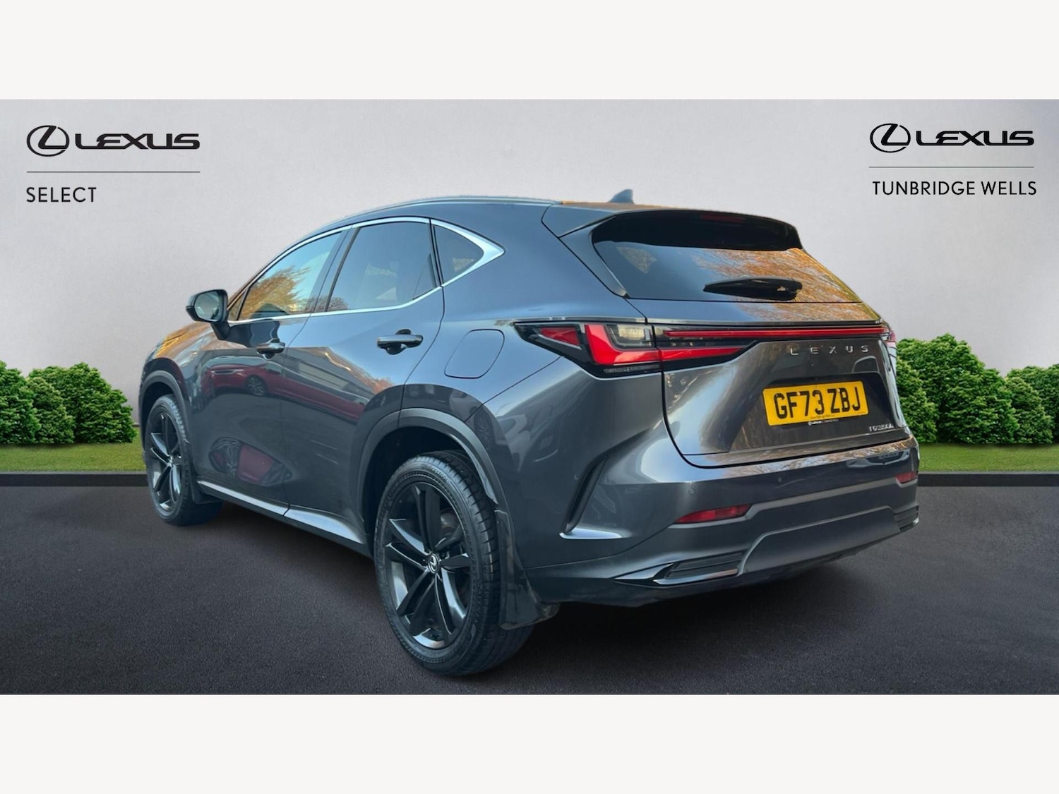 Used Lexus NX 2023 for sale - 76952588: Photo 2