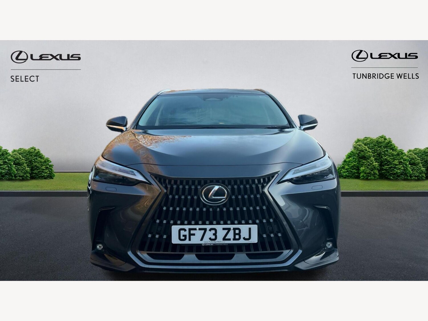 Used Lexus NX 2023 for sale - 76952588: Photo 6