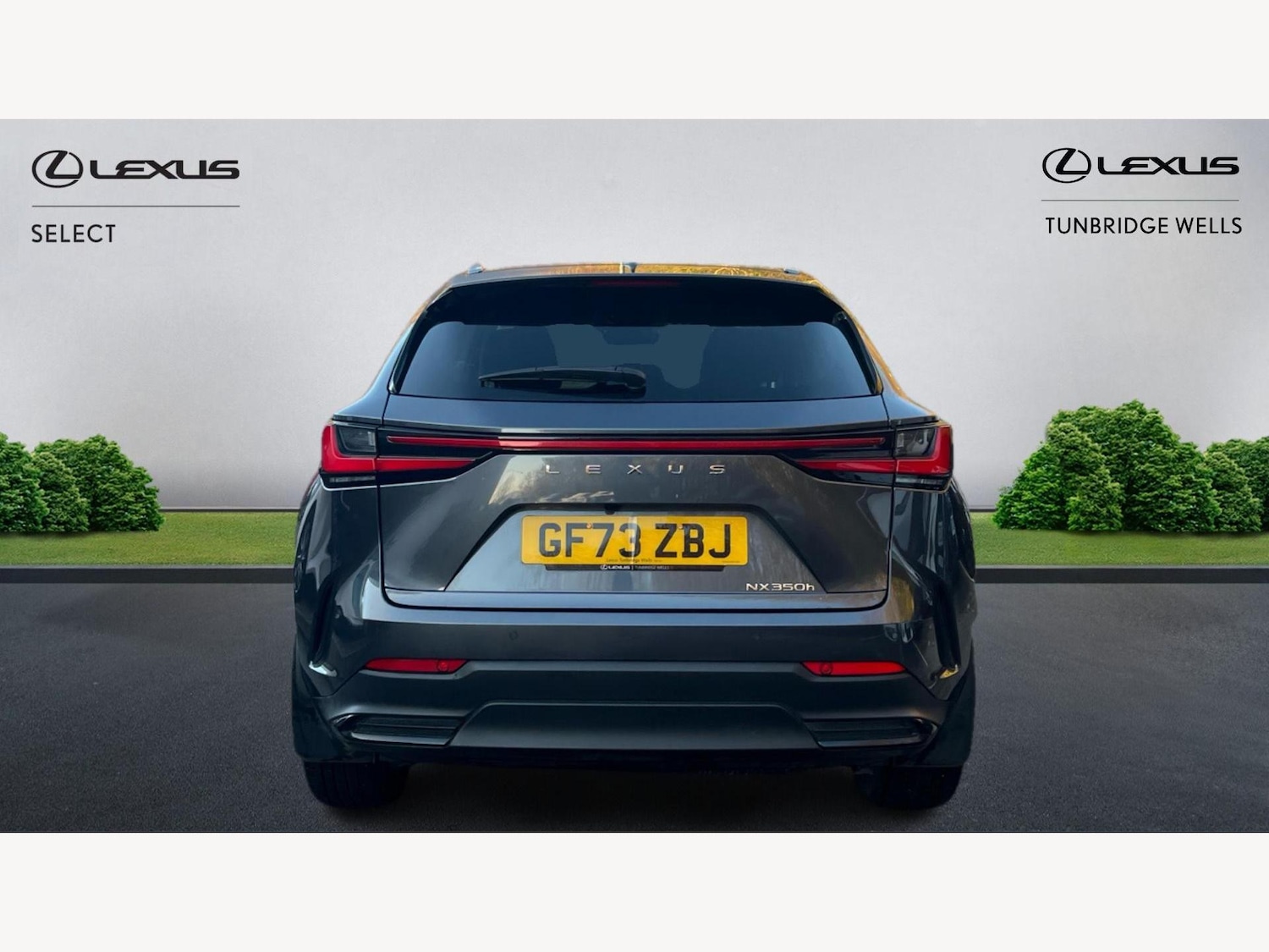 Used Lexus NX 2023 for sale - 76952588: Photo 7