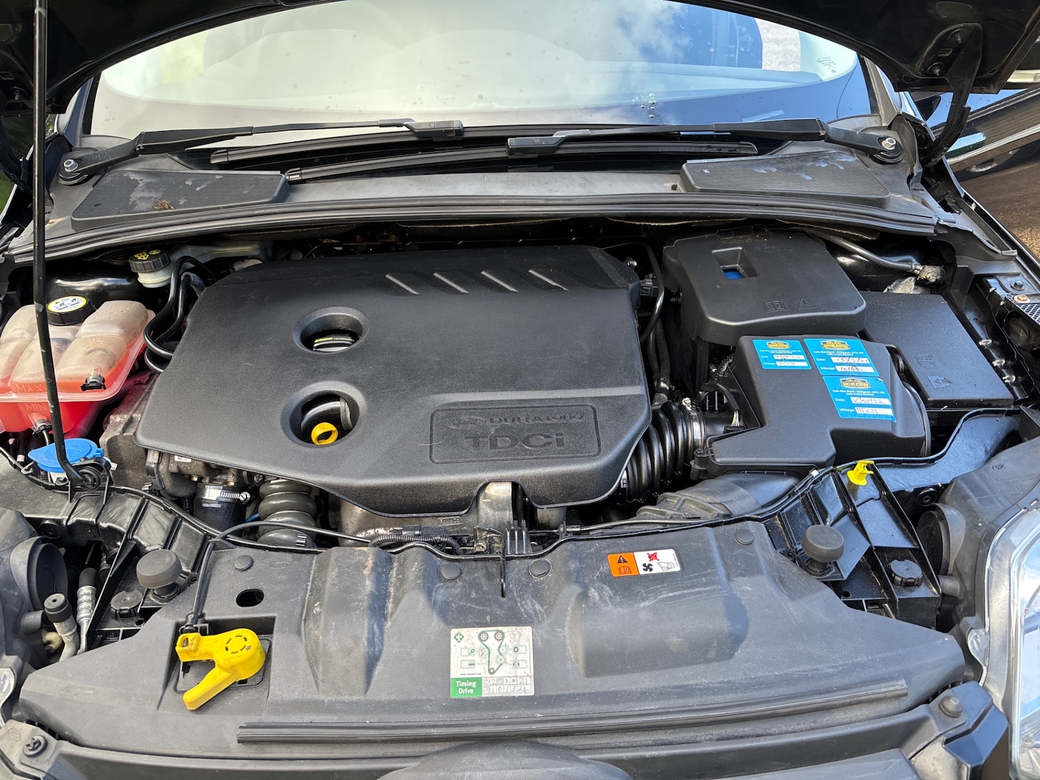 Used Ford Focus 2014 for sale - 78212232: Photo 11