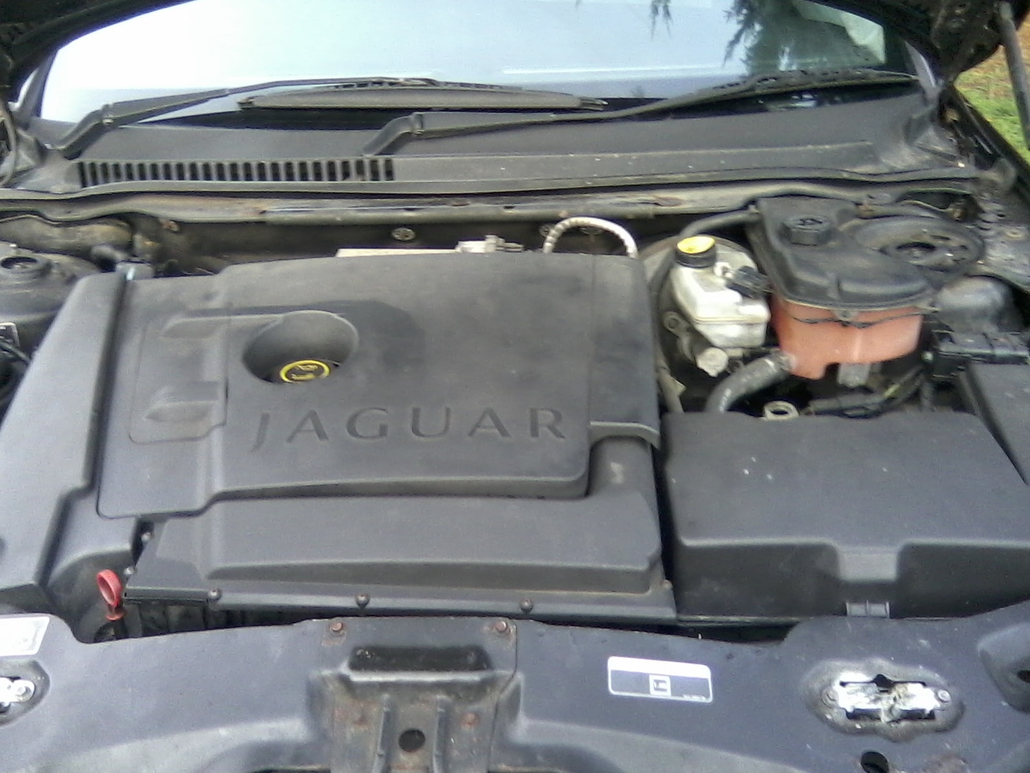 Used Jaguar X-Type 2007 for sale - 78084689: Photo 18