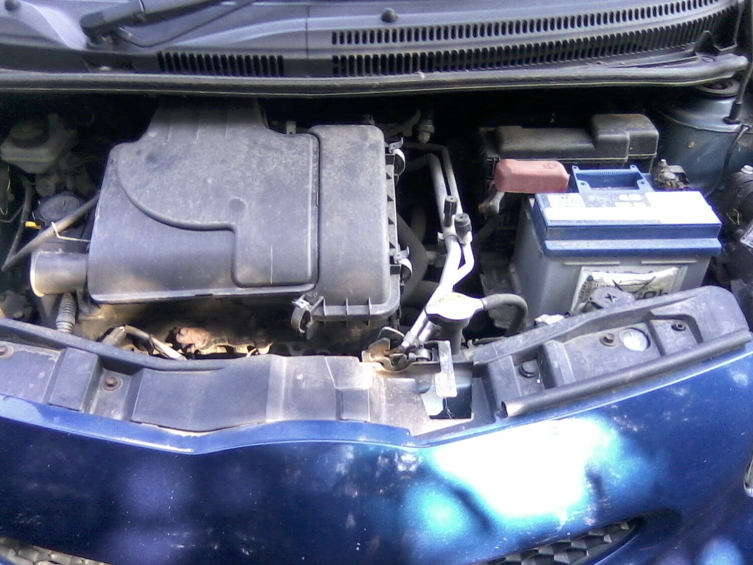 Used Toyota AYGO 2008 for sale - 78085091: Photo 15