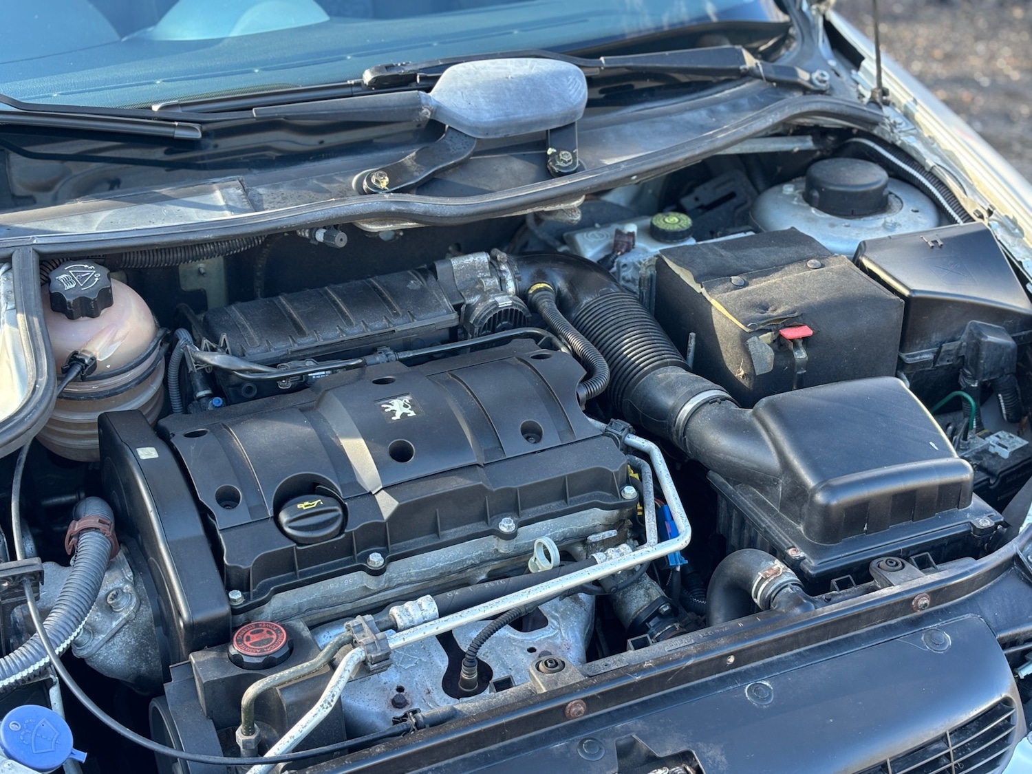 Used Peugeot 206 2005 for sale - 77434736: Photo 13