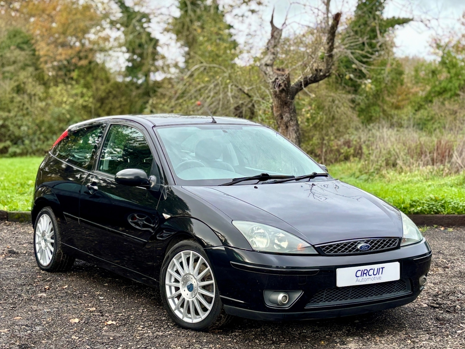 Used Ford Focus 2004 for sale - 76541632: Photo 1