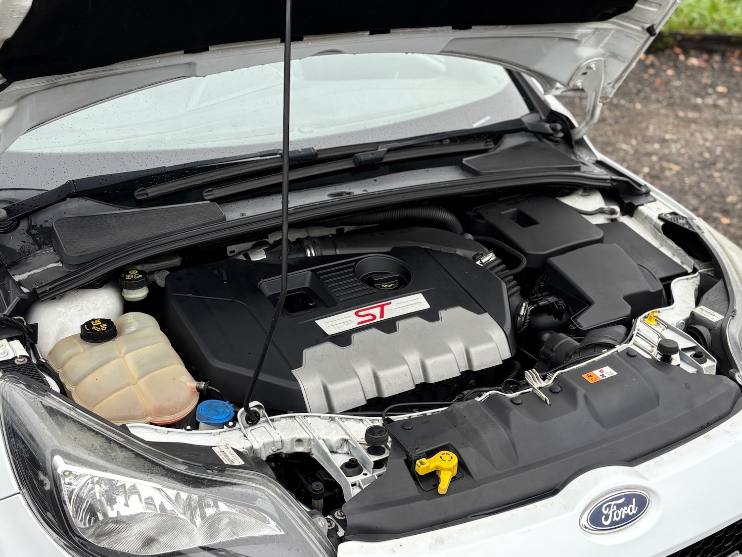 Used Ford Focus 2013 for sale - 77106444: Photo 13