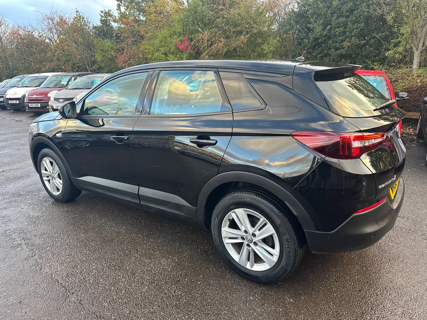 Used Vauxhall Grandland X 2018 for sale - 76994563: Photo 10