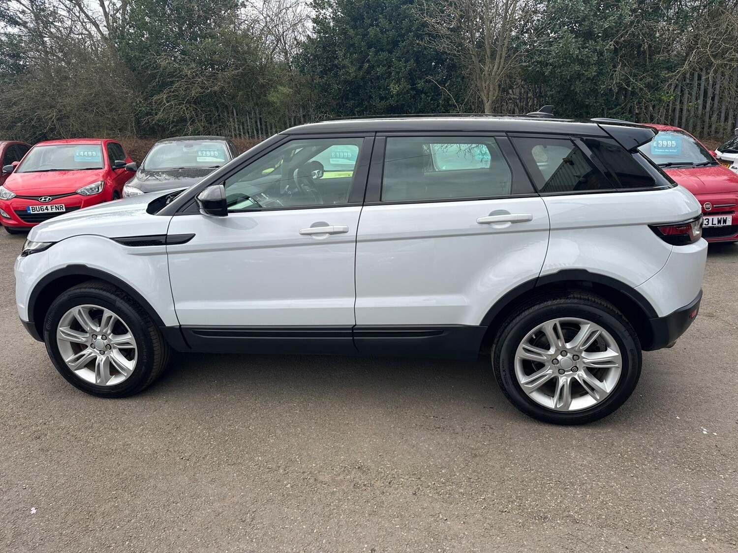 Used Land Rover Range Rover Evoque for sale - 77824054: Photo 6
