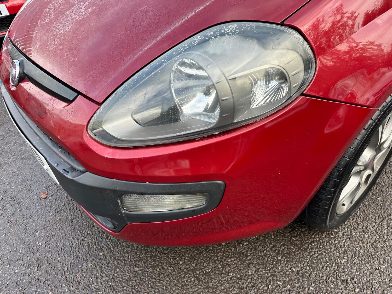 Used Fiat Punto Evo 2011 for sale - 76832302: Photo 18