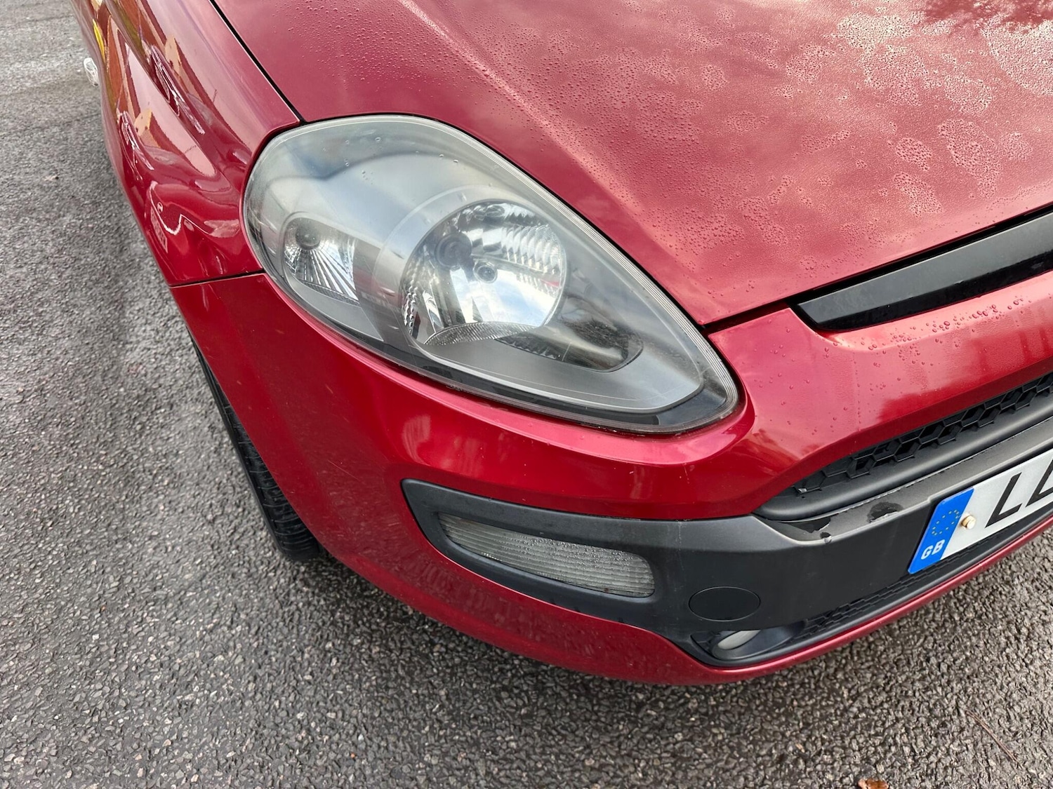 Used Fiat Punto Evo 2011 for sale - 76832302: Photo 8