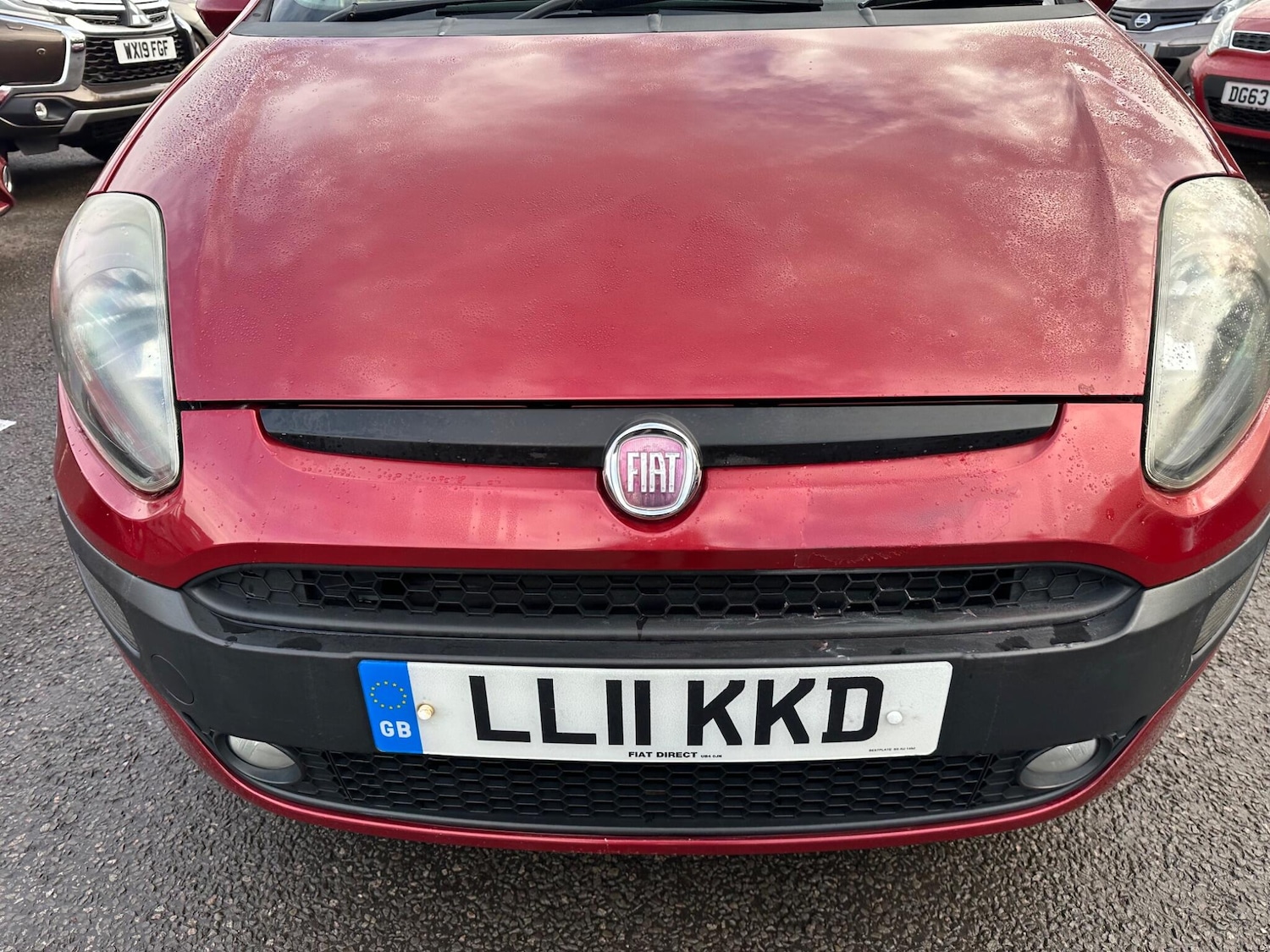 Used Fiat Punto Evo 2011 for sale - 76832302: Photo 9