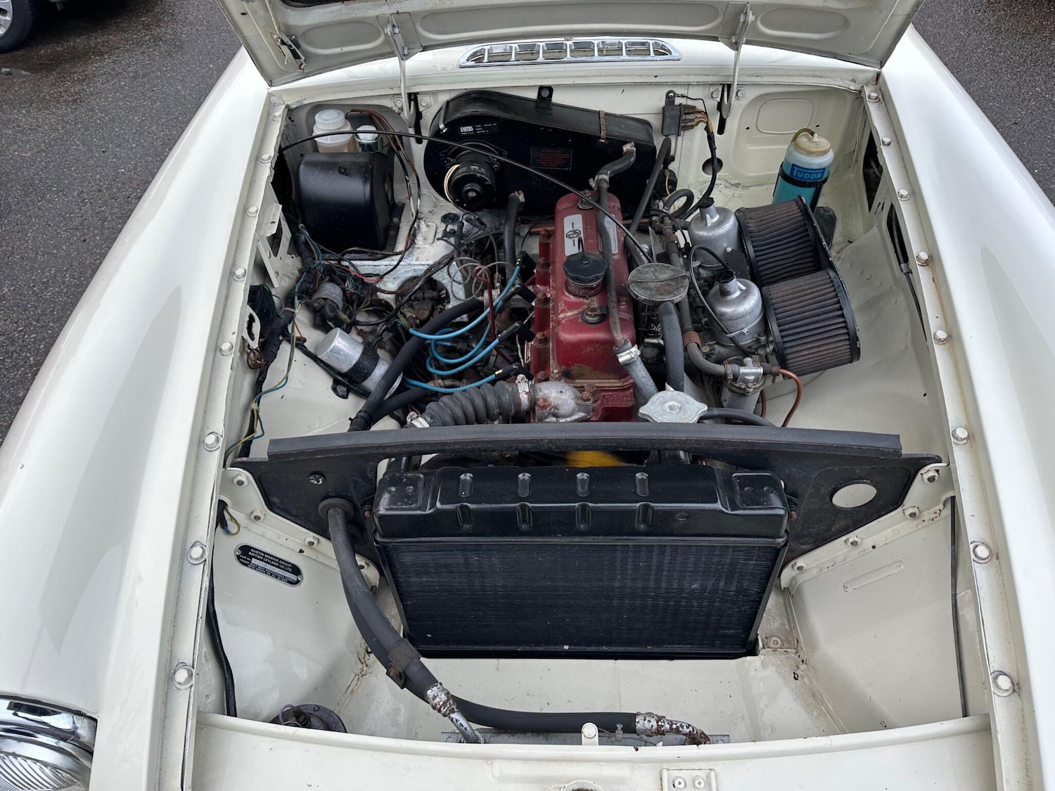 Used MG MGB GT 1967 for sale - 77191207: Photo 26